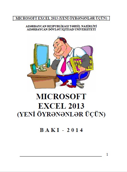 Cover of Microsoft Excel 2013