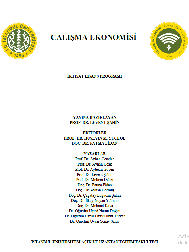 Cover of Çalışma ekonomisi